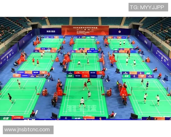 西安羽毛球队在羽毛球节奏排名中创下新高引发热议